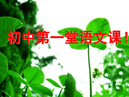 语文初中一年级人教版上册 语文第一课