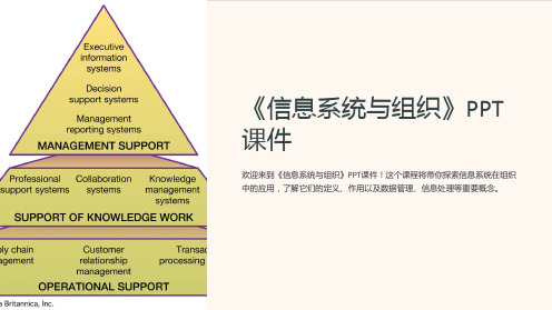 《信息系统与组织》课件