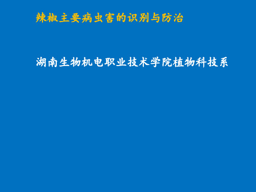 辣椒主要病虫害的识别与防治(雷冬阳2017年修改版)