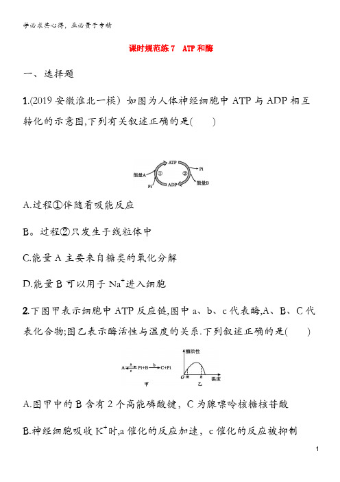 2021版高考生物一轮复习 课时规范练7 ATP和酶(含解析)苏教版