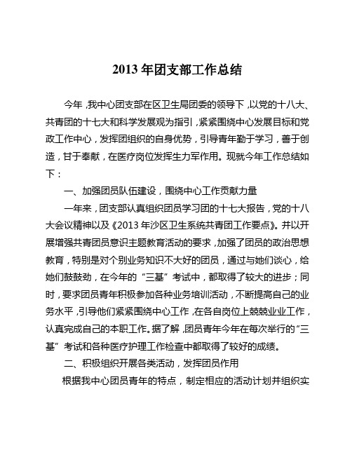 2013年团支部总结