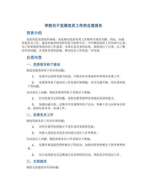 学校关于发展党员工作的自查报告