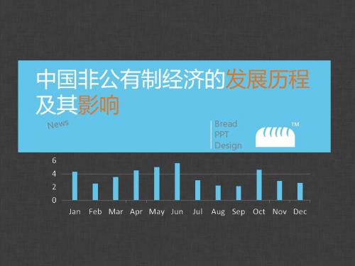 非公有制经济的发展及其影响