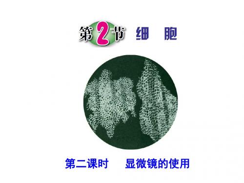 浙教版七年级上册科学2.2细胞(第二课时)(共26张PPT)