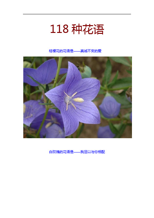 118种花语