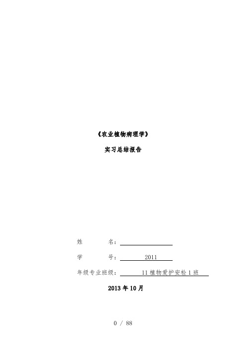 农业植物病理学实习汇报报告