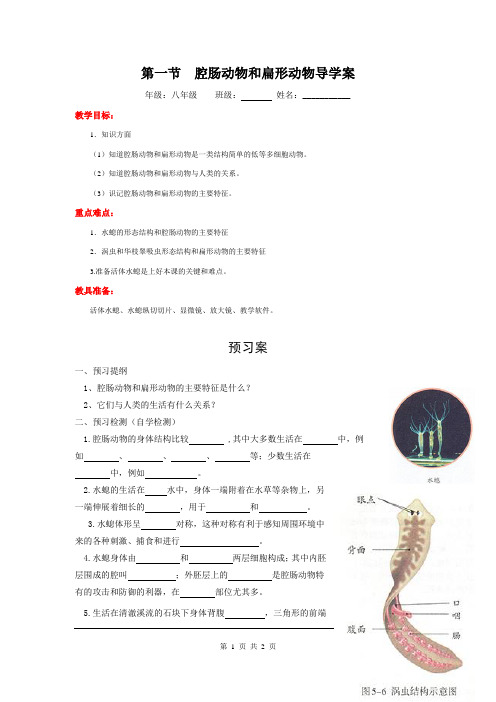 人教版八年级生物上册 腔肠动物和扁形动物导学案精品