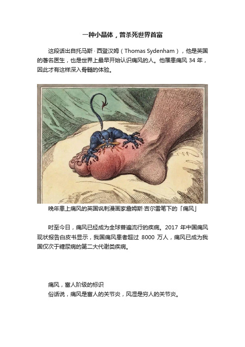 一种小晶体，曾杀死世界首富