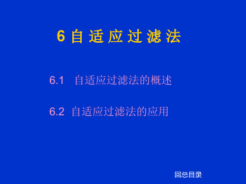 经典：第六章-自适应过滤法