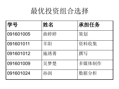 最优投资组合选择