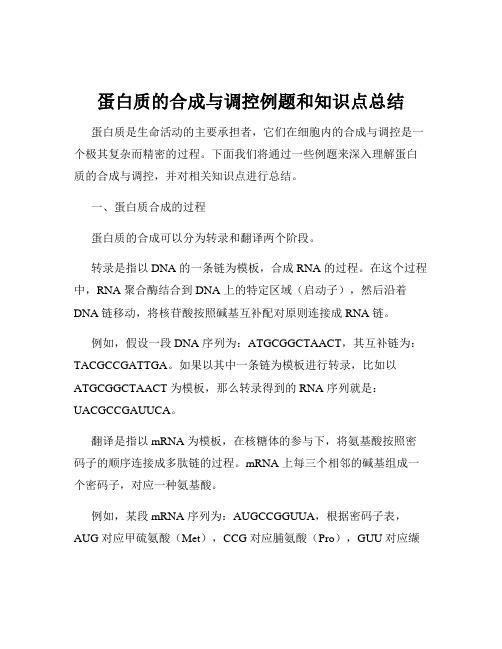 蛋白质的合成与调控例题和知识点总结