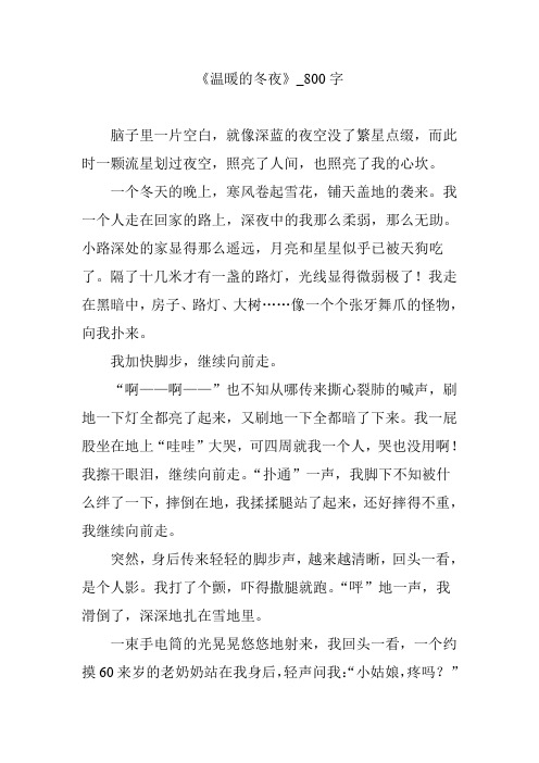 《温暖的冬夜》_800字