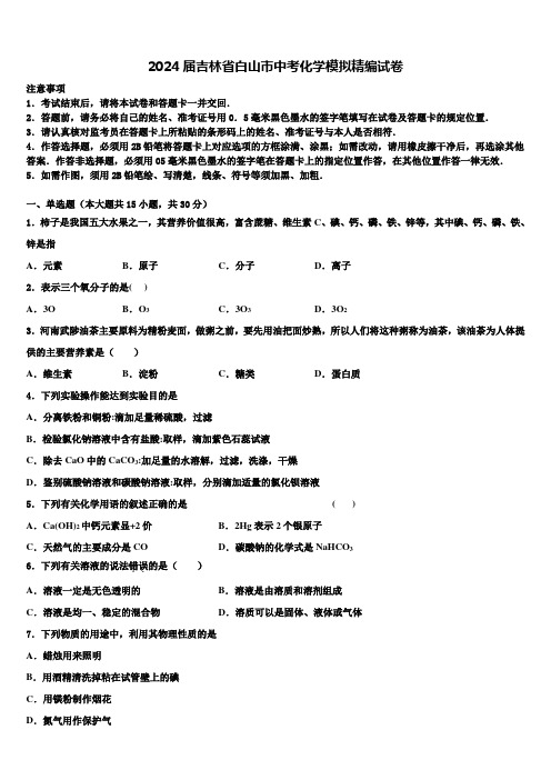 2024届吉林省白山市中考化学模拟精编试卷含解析