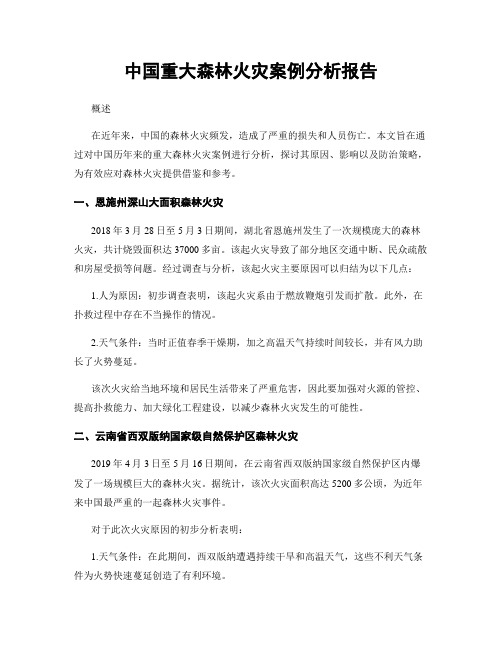 中国重大森林火灾案例分析报告