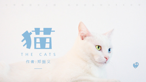 七年级语文上册郑振铎《猫》课件(共30张PPT)