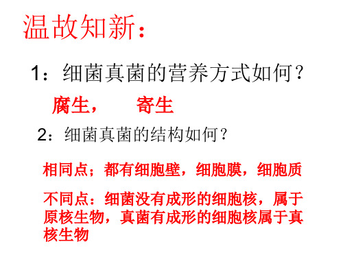 济南版七年级上册生物课件：2.3.4 微生物在生物圈中的作用(共27页)