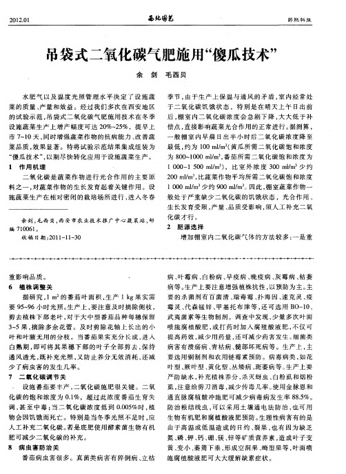 吊袋式二氧化碳气肥施用“傻瓜技术”