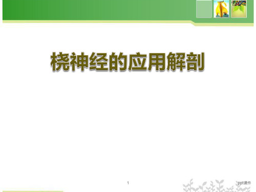 桡神经的应用解剖  ppt课件