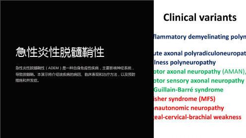 急性炎性脱髓鞘性