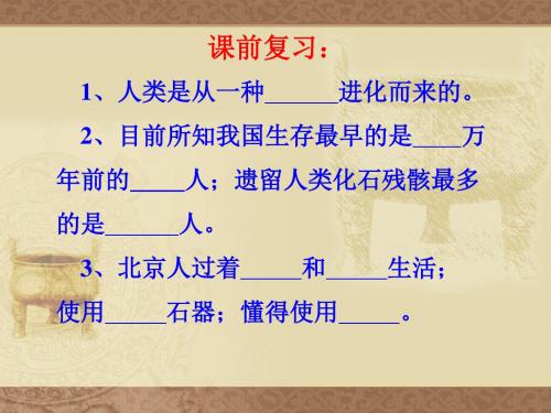 原始农耕文化精选教学PPT2 华东师大版