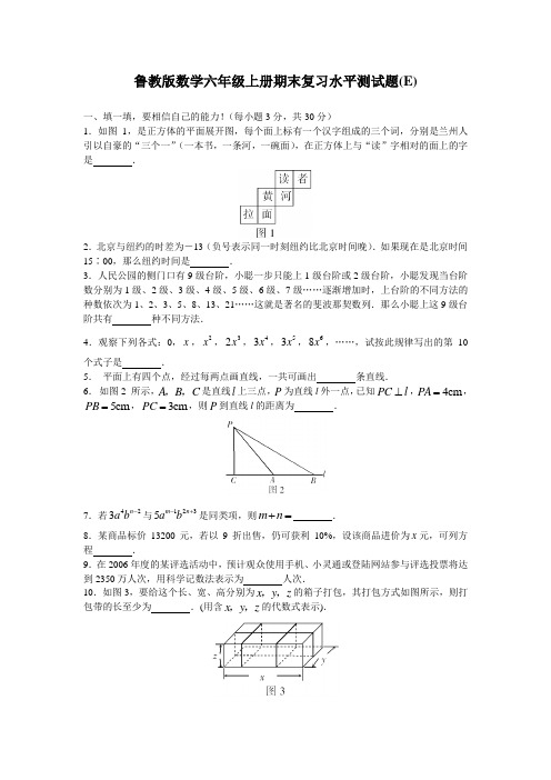 鲁教版数学六年级上册期末复习水平测试题(E)