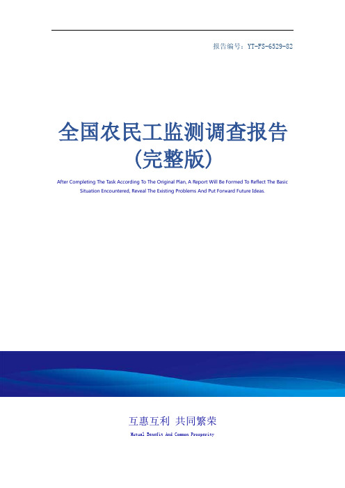 全国农民工监测调查报告(完整版)