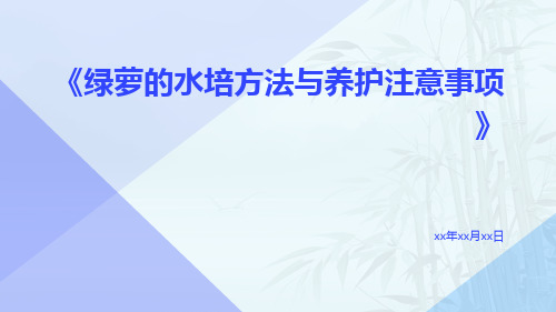 绿萝的水培方法与养护注意事项