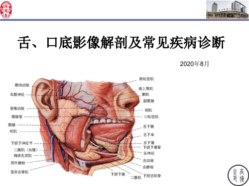 舌-口底影像解剖及常见疾病诊断