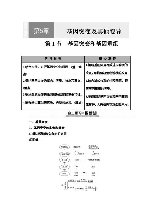 2019-2020学年 人教版 必修二  基因突变和基因重组 教案