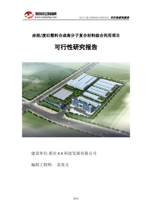 高分子复合材料生产项目可行性研究报告(完整版)