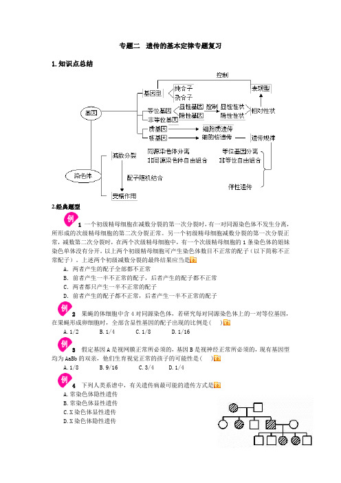 专题二 孟德尔遗传定律