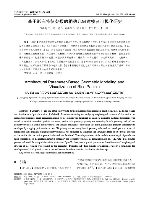 基于形态特征参数的稻穗几何建模及可视化研究