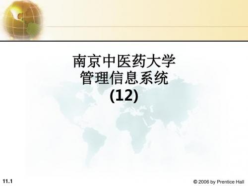 南京中医药大学管理信息系统 (12)ppt课件