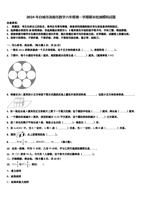 2024年白城市洮南市数学六年级第一学期期末检测模拟试题含解析