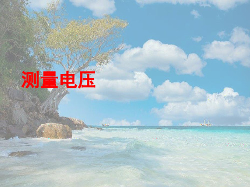 沪科初中物理九上《14第5节 测量电压》PPT课件