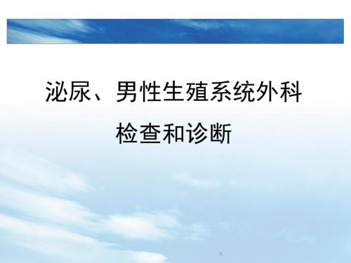 泌尿男性生殖系统外科检查和诊断ppt课件