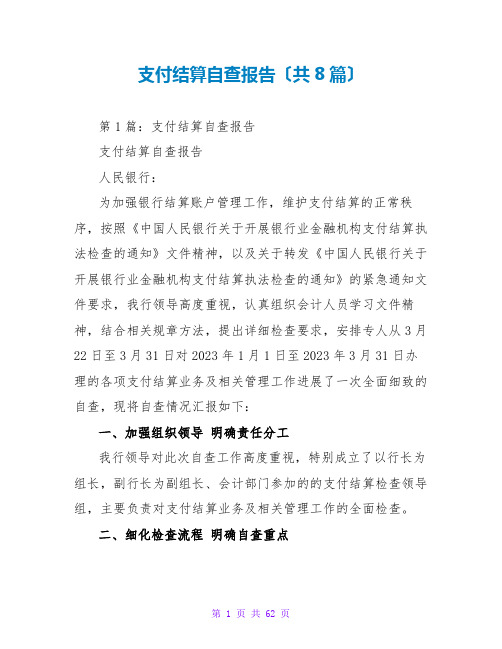 支付结算自查报告(共8篇)