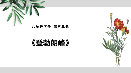 人教部编版八年级语文下册第五单元第19课《登勃朗峰》课件(共22张PPT)