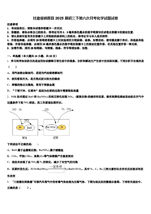 甘肃省镇原县2025届初三下第六次月考化学试题试卷含解析