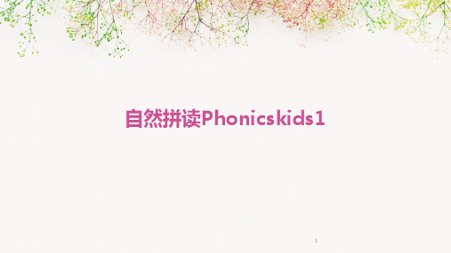 2024年度-自然拼读Phonicskids1