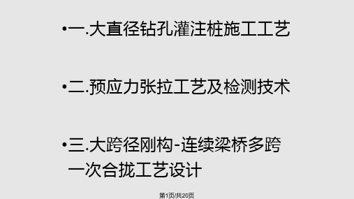 理学大跨径刚构—连续组合梁桥施工特点PPT课件