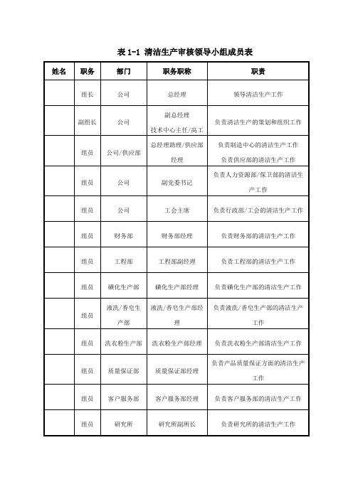 清洁生产审核领导小组和工作小组示例