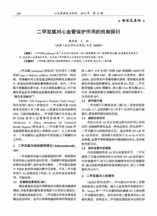 二甲双胍对心血管保护作用的机制探讨