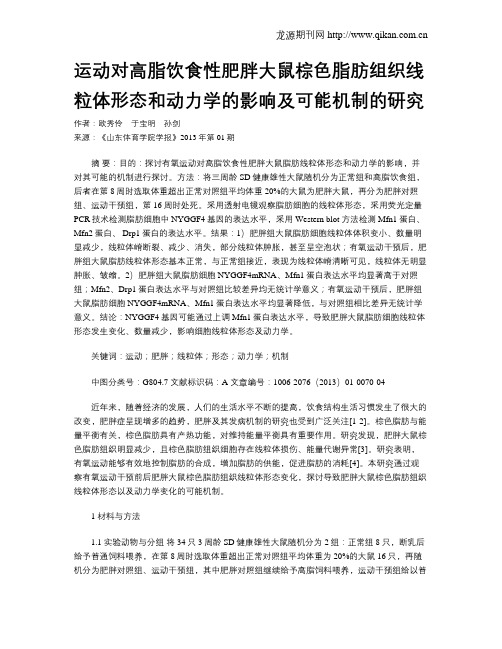 运动对高脂饮食性肥胖大鼠棕色脂肪组织线粒体形态和动力学的影响及可能机制的研究