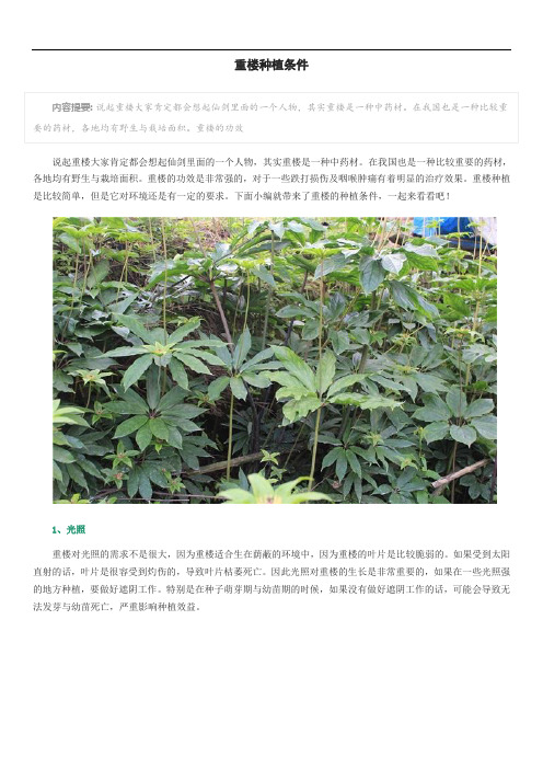 重楼种植条件