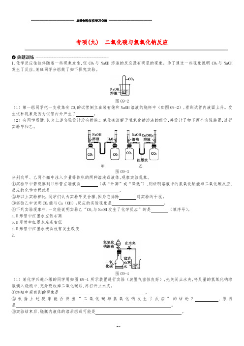 中考化学专项复习 专项(九)二氧化碳与氢氧化钠反应练习.doc