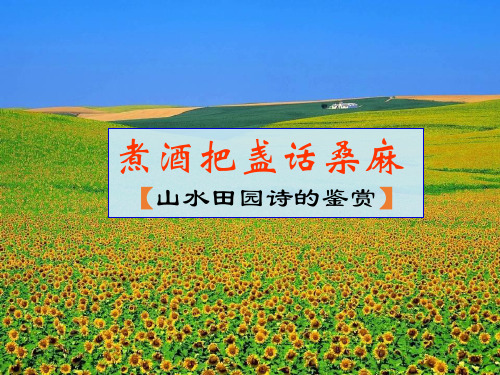 山东省巨野县第一中学高考复习古代诗歌鉴赏专题课件：山水田园诗鉴赏(共24张PPT)