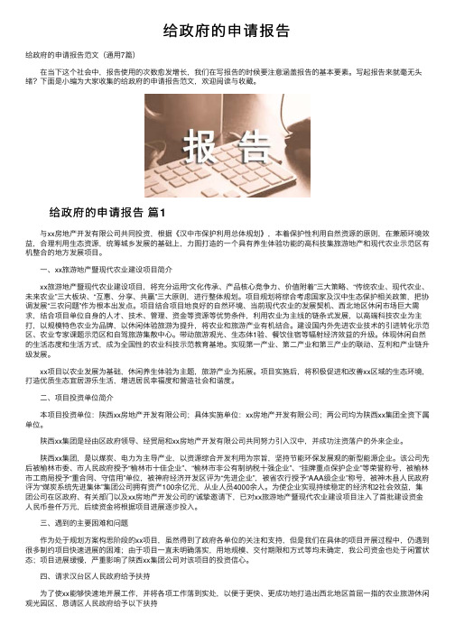 给政府的申请报告