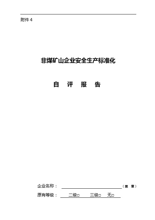 非煤矿山企业安全生产标准化自评报告