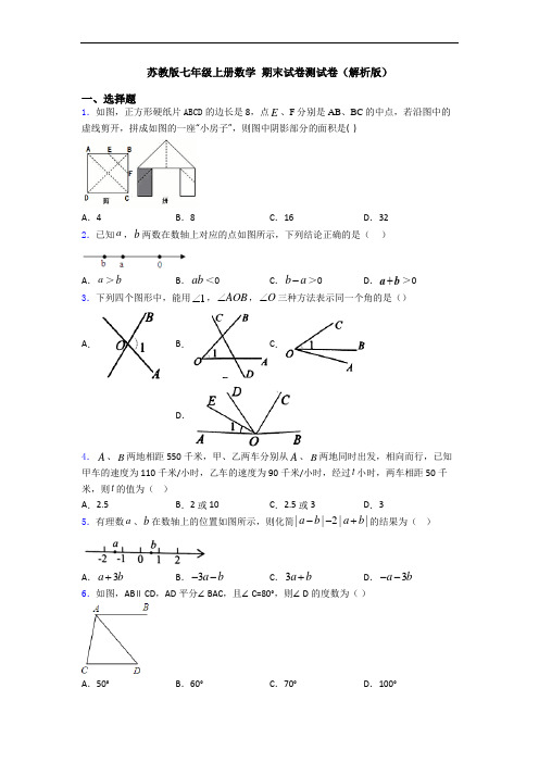 苏教版七年级上册数学 期末试卷测试卷(解析版)